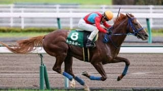 【阪神JS】トゥルボーが障害重賞2勝目