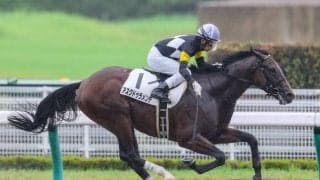 【新馬/中京4R】アスクドゥラメンテが完勝 福永騎手は年間100勝