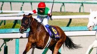 【ローズS予想】クールキャットの取り扱いがポイント オススメ穴馬は道悪をモノともしない1頭/JRA重賞レース展望