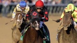 アメリカＧＩ２勝の子、ソリダリティは「すらっとした好馬体」でいい脚が使えそう