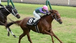 ローズＳの馬券のサインとは？　同じ花の名前か、はたまた世間を騒がす総裁選か