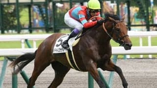 【中京5R新馬戦結果】トゥデイイズザデイがマイペースで逃げ切って快勝