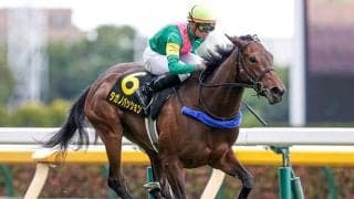 【ローズS・馬体重】タガノパッションは470kg(+14)、アールドヴィーヴルは430kg(+8)