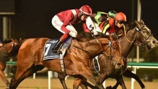 【海外競馬】ミシュリフはチャンピオンSへ　凱旋門賞には向かわず