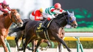 【本日の注目ポイント】本日は「JRAアニバーサリー」、中山でセントライト記念