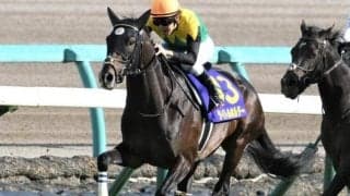 【セントライト記念予想】台風の影響も気になる菊花賞の前哨戦