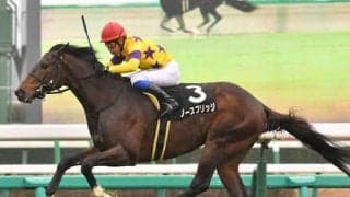 セントライト記念で高配当を狙うなら、地力を秘めた前に行く２頭がオススメ