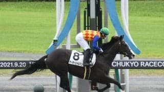 【中京4R新馬戦結果】ラブリーデイ産駒テーオーシャルマンが3馬身差で快勝