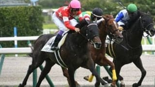 【中京5R新馬戦結果】武豊騎手騎乗、レッドラマンシュがデビュー勝ち