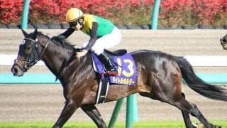 【セントライト記念・馬体重】タイトルホルダーは466kg(+2)、ソーヴァリアントは510kg(+4)