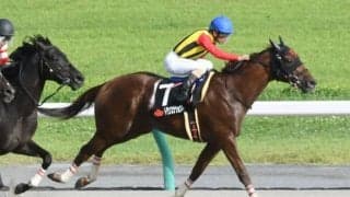 【JRA・WIN5】JRAアニバーサリーデーのWIN5は的中8票、配当7090万6130円