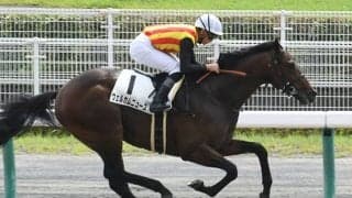 新種牡馬サトノアラジン産駒がダートで好調、JRAでは9戦全て人気以内に