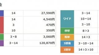 大井競馬で馬単140万馬券の最高配当！1Rで単勝275.9倍カリーナブルーがV