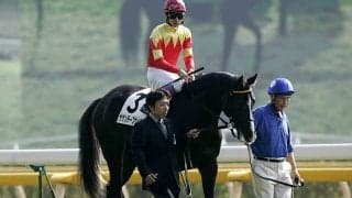 超良血馬ザサンデーフサイチ、引退馬ファンクラブTCCでオーナーを募集