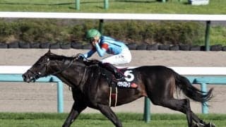 【MジャングルポケットC】パラダイスリーフが約2年2ヶ月振りのレースを快勝