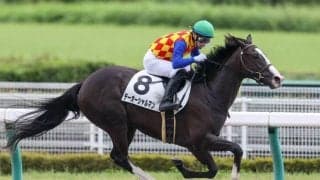 【新馬/中京4R】ラブリーデイ産駒 テーオーシャルマンがデビューV