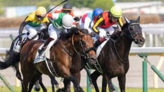 ダービー馬始動　GII神戸新聞杯とオールカマー/今週の競馬界の見どころ