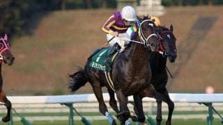 【盛岡・ジュニアグランプリ】モリデンブラックが1番人気のギャレットを交わして重賞初制覇！