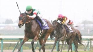 【オールカマー登録馬】レイパパレなど16頭