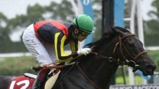 【ローズS】売上は72億6013万6300円で昨年からおよそ7億円の増加