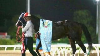 【大井・ゴールドジュニア】圧勝ママママカロニの矢野貴之騎手「これからどう成長するか楽しみ」