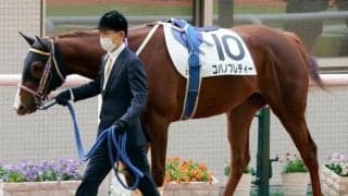 【門別競馬情報】勢いと伸びしろで3歳馬が優勢!? コパノフレディー、カツゲキダイリン、ビービービルダーの“将来性”も要チェック「スワーヴリチャード・プレミアム」/地方競馬情報
