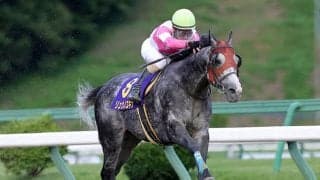 【大井・東京盃】クラスターC覇者のリュウノユキナなど　JRA・南関東所属の選定馬が発表