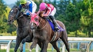 【白山大賞典展望】今年の白山大賞典は上位拮抗の好メンバー！