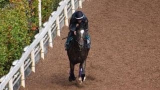 ダノンファンタジー半弟セレブレイトガイズがデビュー/関西馬メイクデビュー情報