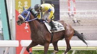 SNSでも話題のプリンニシテヤルノ　新天地で念願の初勝利！ 