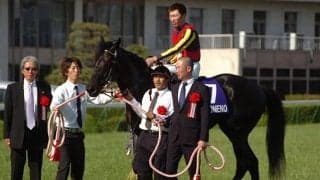 天皇賞・春連覇のフェノーメノが種牡馬引退　レックススタッドが発表