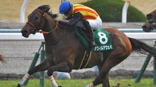 【スプリンターズS出走馬決定順】アウィルアウェイがレーティングで出走可能に、ロードアクアが除外対象