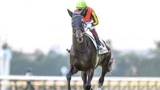 【神戸新聞杯想定騎手】シャフリヤールは福永祐一騎手、ステラヴェローチェは吉田隼人騎手