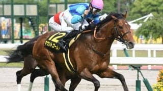 【オールカマー予想】本命候補はどん底から這い上がった遅咲きの苦労馬 「中山芝2200m戦は今週も大荒れ」とAI予想/JRA重賞レース展望