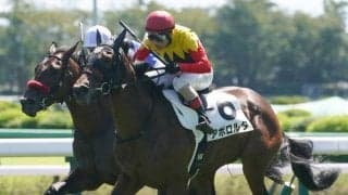 【新馬/中山4R】アポロキングダム産駒 アポロルタがデビューV