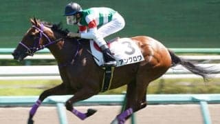 【新馬/中山5R】モーリス産駒 アンクロワがデビューV