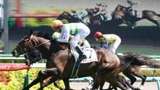 【新馬/中山6R】ハービンジャー産駒 ファンタジアがデビューV