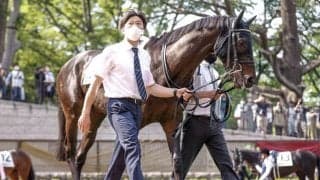 【神戸新聞杯展望】菊花賞への最重要ステップ、中心はやはりあの馬