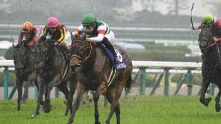 【オールカマー想定騎手】レイパパレは川田将雅騎手、グローリーヴェイズはM.デムーロ騎手