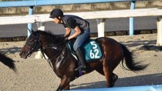 リアドなど、先週の入厩情報/栗東トレセンニュース