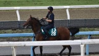 パンドレアなど、先週のゲート試験/栗東トレセンニュース