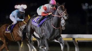 【船橋・日本テレビ盃】ケイティブレイブが回避 南関所属馬はノンコノユメなどが選出