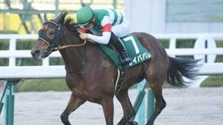 【AI予想】ビッグレース向きの資質が問われるオールカマーで“不安要素ナシ”の1頭は？