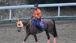 【オールカマー予想オッズ】今年の大阪杯を制したレイパパレが単勝1.6倍で予想1番人気