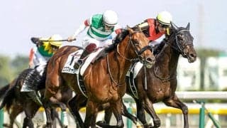 【神戸新聞杯予想オッズ】ダービー馬シャフリヤールが単勝1.3倍で抜けた1番人気に