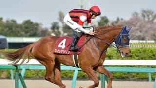 【オールカマー展望】秋のビッグレースに向けた前哨戦、好走の条件とは