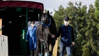 名牝ウオッカの仔・タニノフランケルがレックススタッドに到着