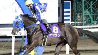 【門別競馬情報】雨馬場で時計勝負ならアザワクら先行勢、パワー要る決め手勝負ならジャスパーシャインらが優位か「第2回ウポポイオータムスプリントH2」 /地方競馬情報