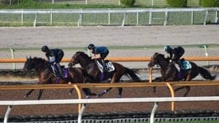 ヒートオンビート、京都大賞典2週前追い切り速報/栗東トレセンニュース