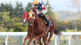 【金沢プリンセスC結果】エムティアンジェが一騎打ちを制し重賞初制覇